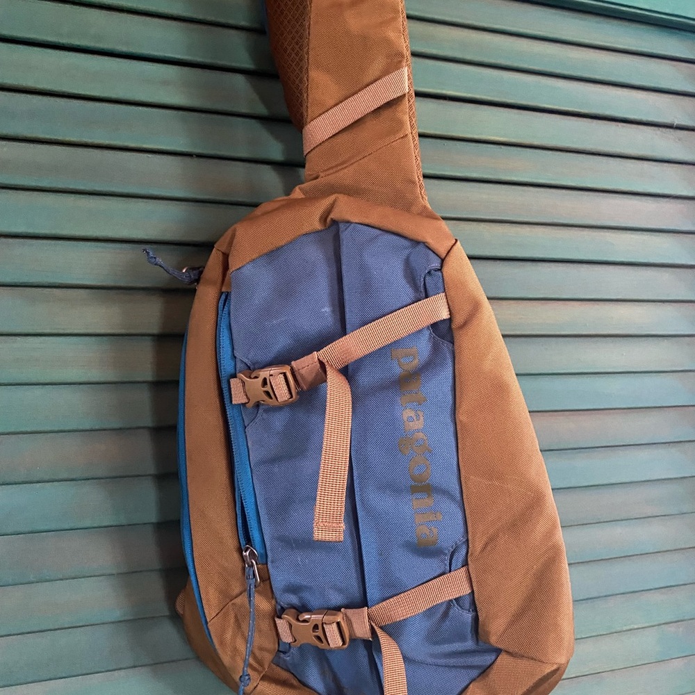 Patagonia Brown and Blue Men's Backpack